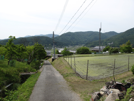 20140524hike (324)